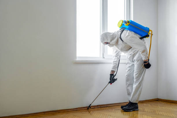 Best Pest Exclusion Services  in Bartonville, TX